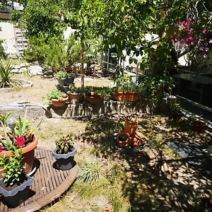 Ella , Split Kroatië