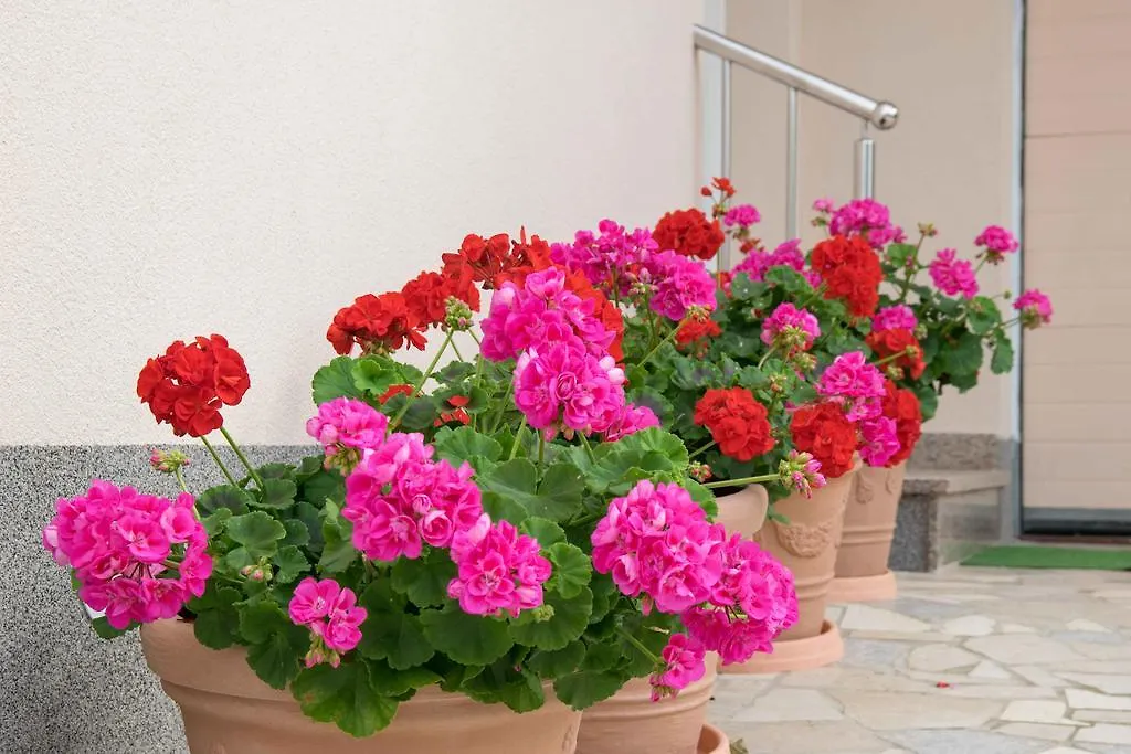 Apartments Hortensia Pula 0*,  Hırvatistan