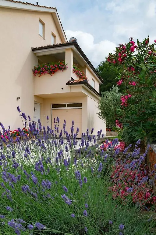 Apartments Hortensia Pula Hırvatistan