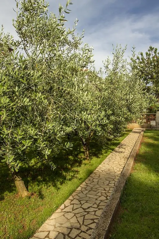 Apartments Hortensia Pula 0*,